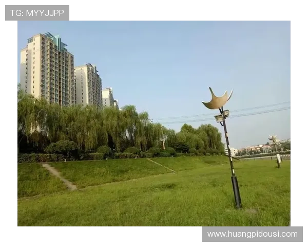 玩转大阳城平台网页版：新手指南与技巧分享